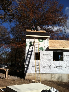 starting to roof